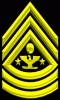 Sergeant Major of the Army